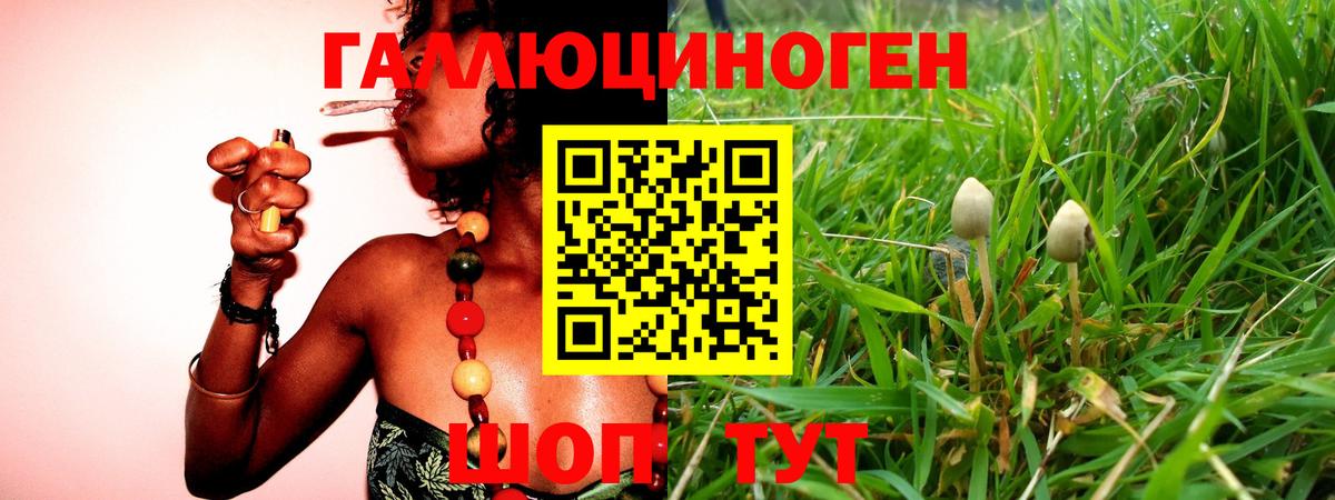 Псилоцибиновые грибы Psilocybine cubensis  Вход с VPN  Усолье-Сибирское 